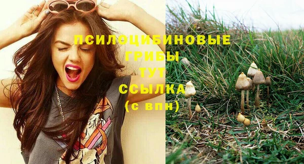 jwh Горняк