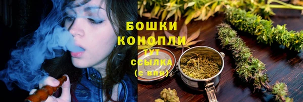 прущий лед Горно-Алтайск