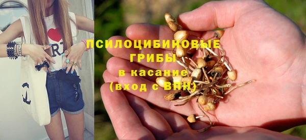 jwh Горняк